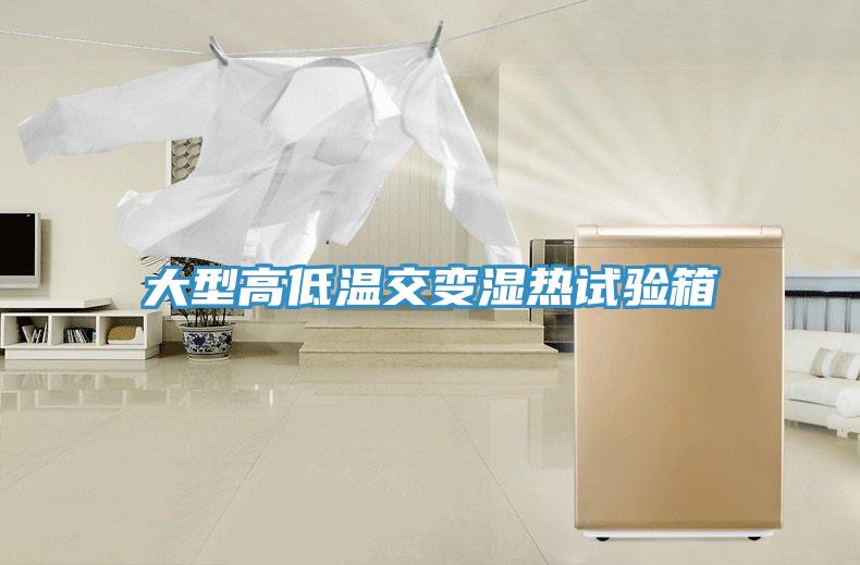 大型高低温交变湿热试验箱