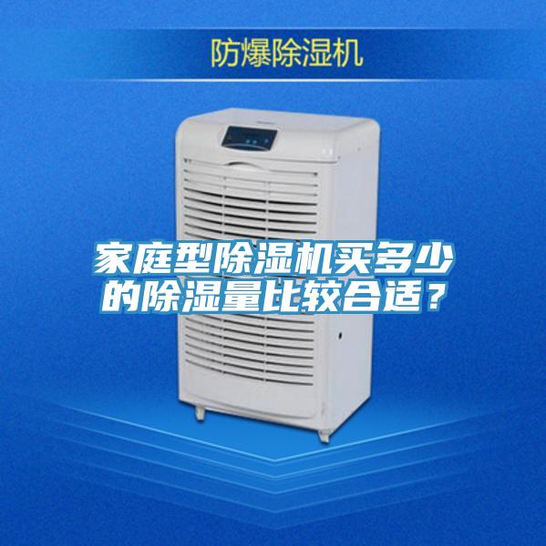家庭型除湿机买多少的除湿量比较合适？