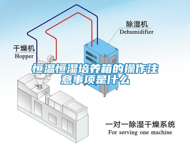 恒温恒湿培养箱的操作注意事项是什么