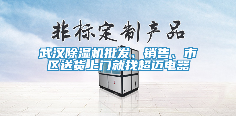 武汉除湿机批发、销售、市区送货上门就找超迈电器