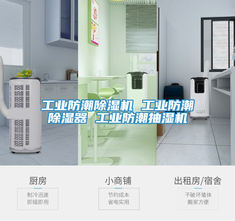 工业防潮除湿机 工业防潮除湿器 工业防潮抽湿机