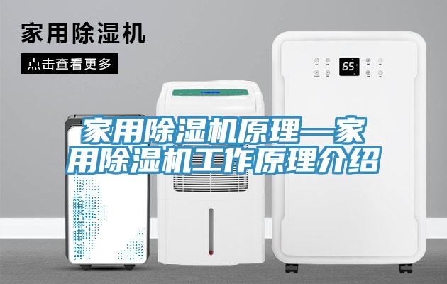 家用除湿机原理—家用除湿机工作原理介绍
