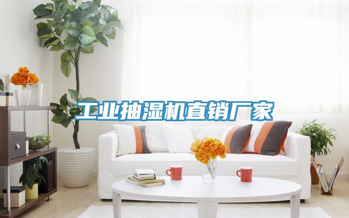 工业抽湿机直销厂家