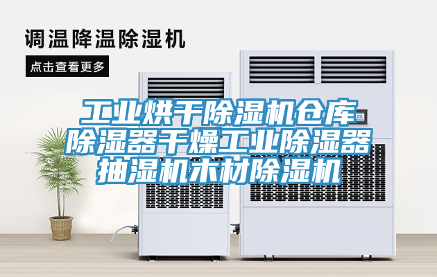 工业烘干除湿机仓库除湿器干燥工业除湿器抽湿机木材除湿机