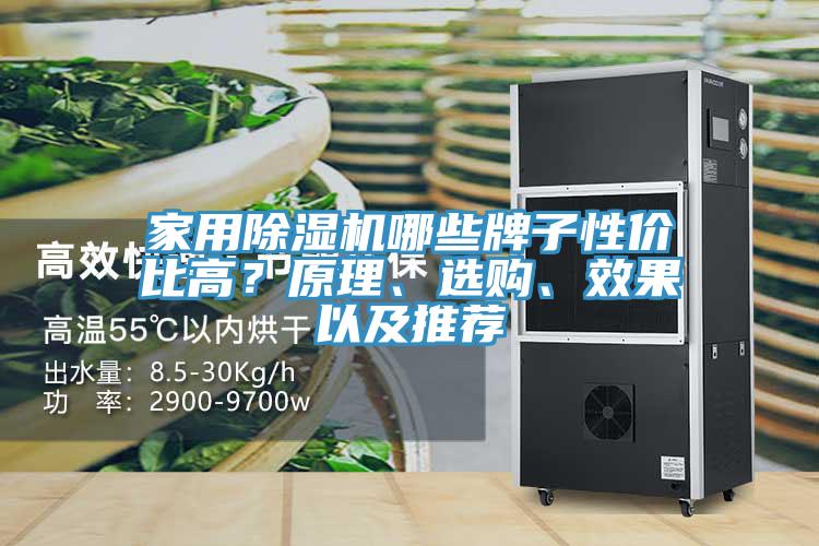 家用除湿机哪些牌子性价比高？原理、选购、效果以及推荐