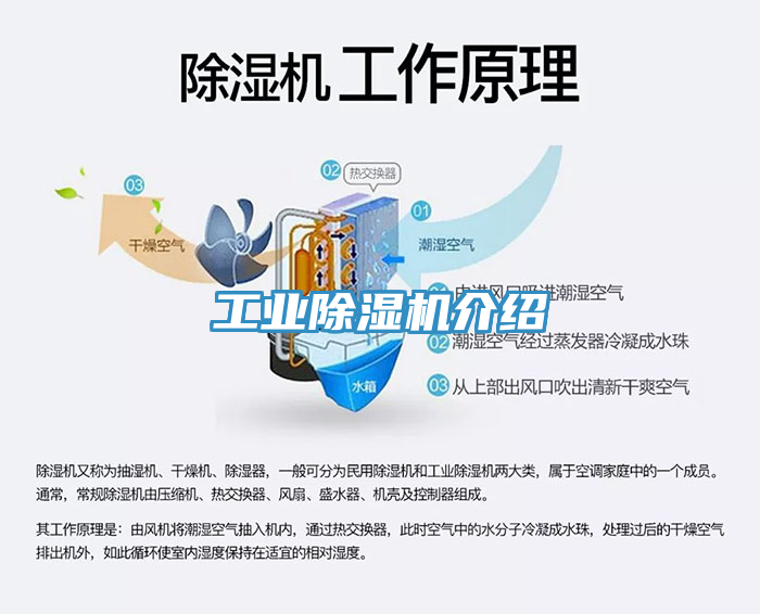 工业除湿机介绍