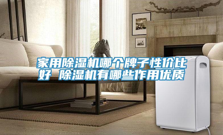 家用除湿机哪个牌子性价比好 除湿机有哪些作用优质