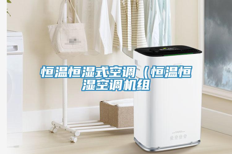 恒温恒湿式空调（恒温恒湿空调机组