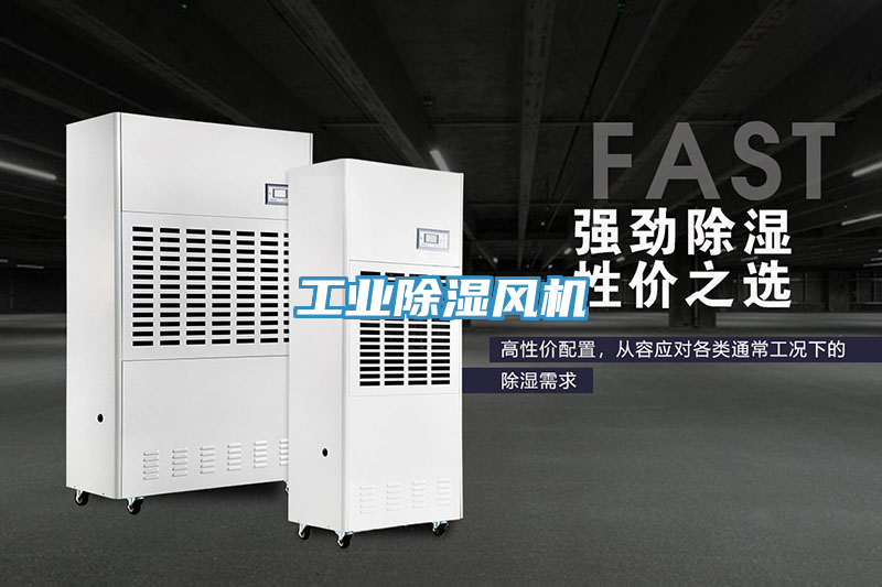 工业除湿风机