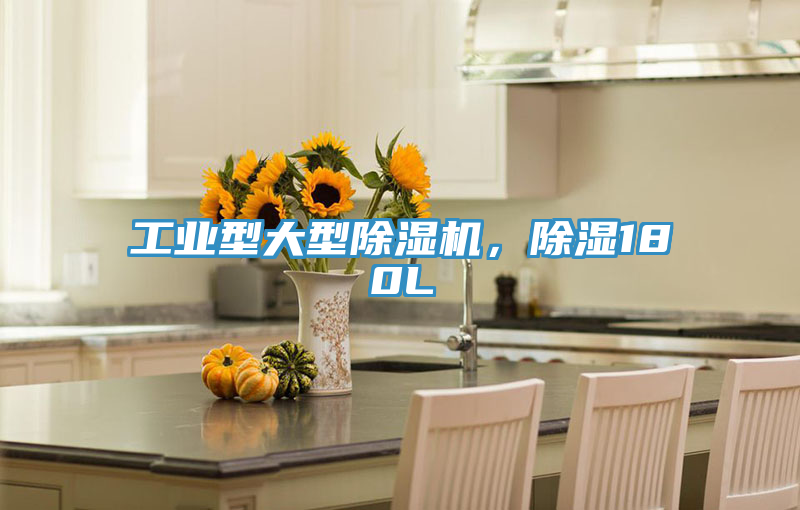 工业型大型除湿机，除湿180L