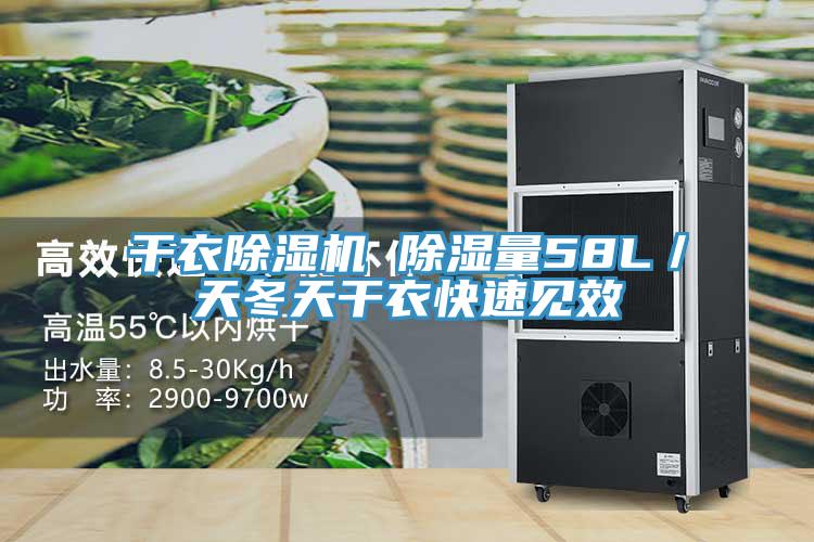 干衣除湿机 除湿量58L／天冬天干衣快速见效
