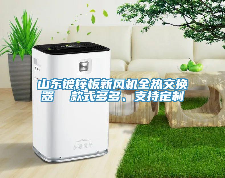 山东镀锌板新风机全热交换器  款式多多、支持定制