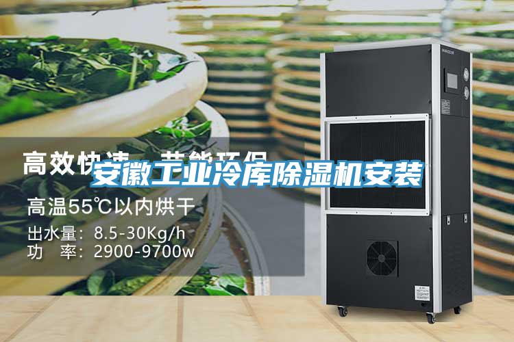 安徽工业冷库除湿机安装