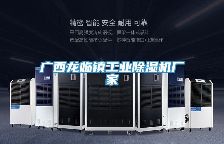 广西龙临镇工业除湿机厂家