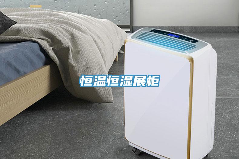 恒温恒湿展柜