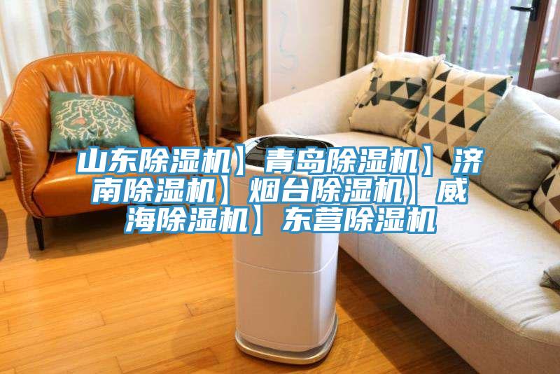 山东除湿机】青岛除湿机】济南除湿机】烟台除湿机】威海除湿机】东营除湿机