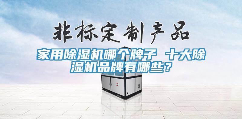 家用除湿机哪个牌子 十大除湿机品牌有哪些？