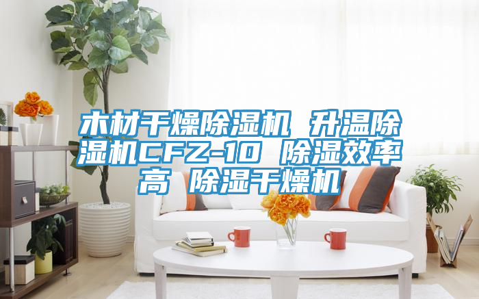 木材干燥除湿机 升温除湿机CFZ-10 除湿效率高 除湿干燥机