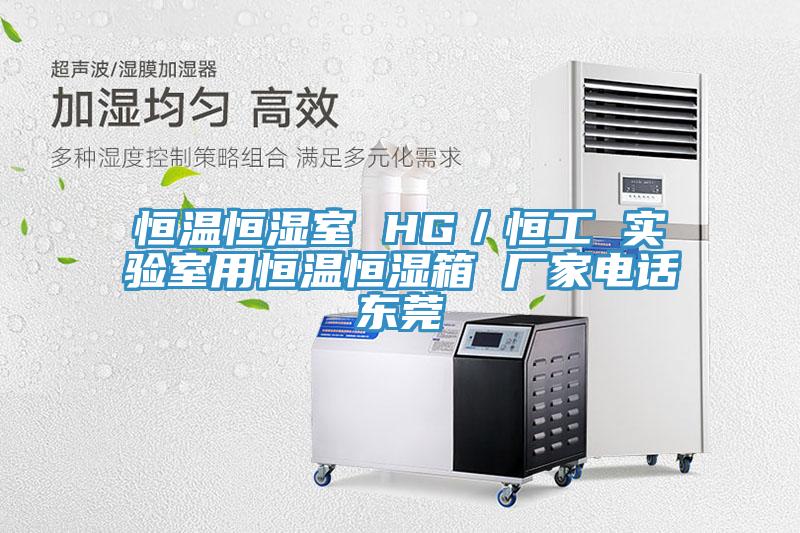 恒温恒湿室 HG／恒工 实验室用恒温恒湿箱 厂家电话东莞