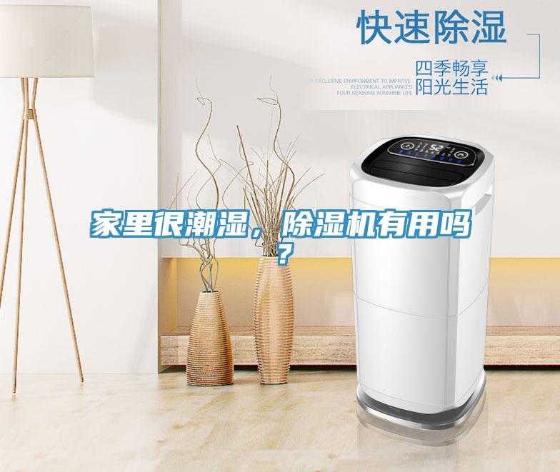 家里很潮湿，除湿机有用吗？