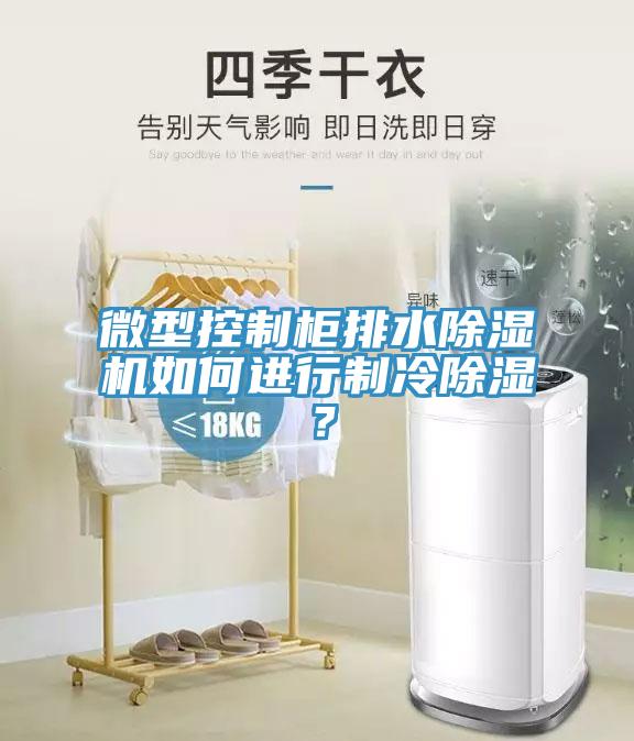 微型控制柜排水除湿机如何进行制冷除湿？