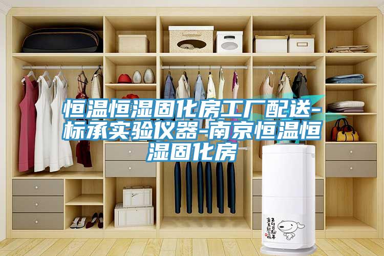 恒温恒湿固化房工厂配送-标承实验仪器-南京恒温恒湿固化房