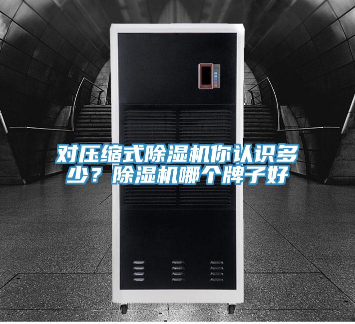 对压缩式除湿机你认识多少？除湿机哪个牌子好