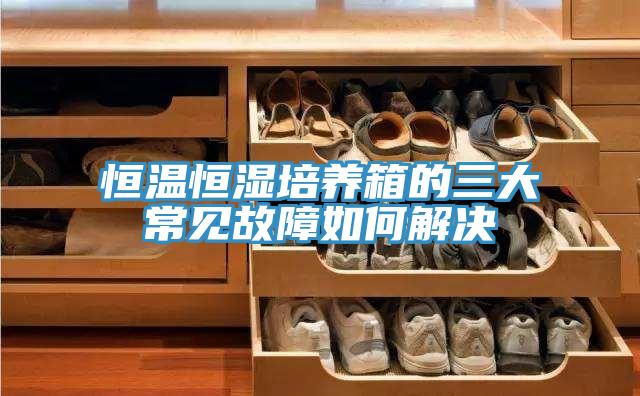 恒温恒湿培养箱的三大常见故障如何解决