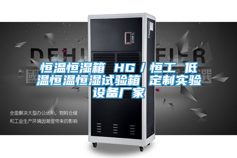 恒温恒湿箱 HG／恒工 低温恒温恒湿试验箱 定制实验设备厂家