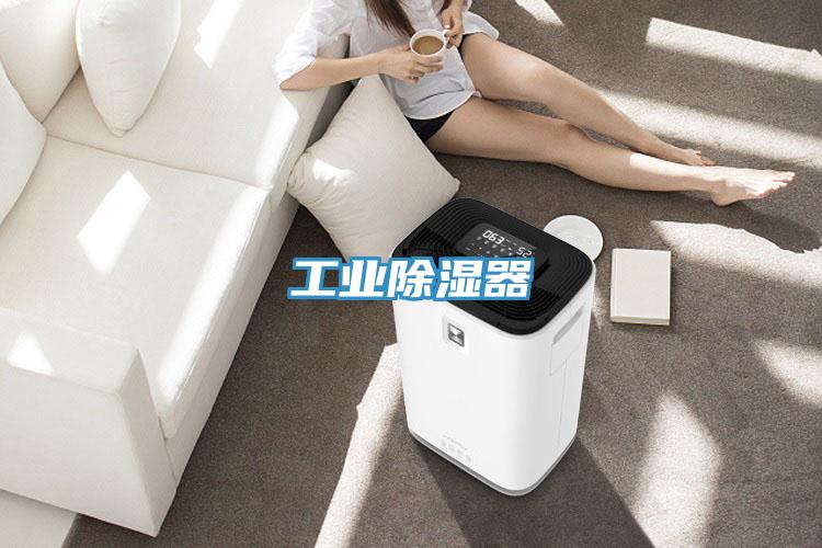 工业除湿器