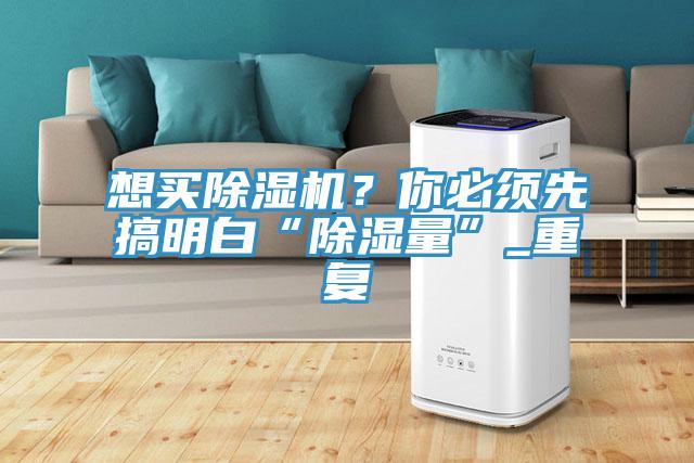 想买除湿机？你必须先搞明白“除湿量”_重复
