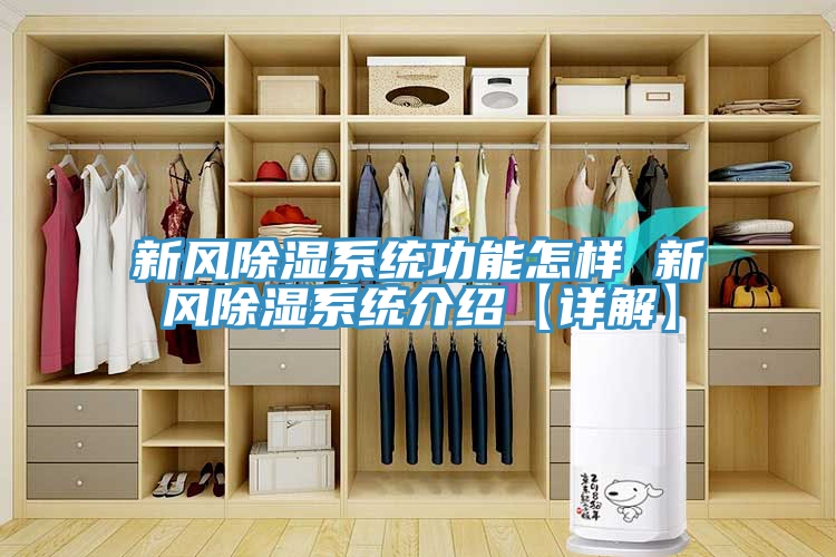 新风除湿系统功能怎样 新风除湿系统介绍【详解】