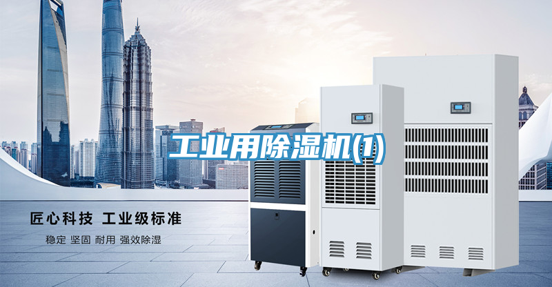 工业用除湿机(1)