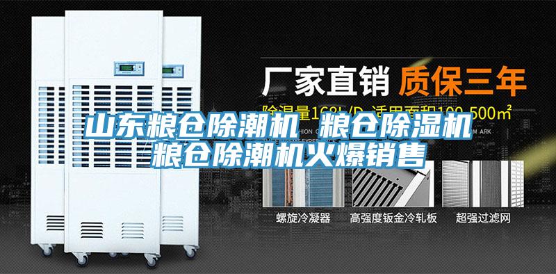 山东粮仓除潮机 粮仓除湿机 粮仓除潮机火爆销售