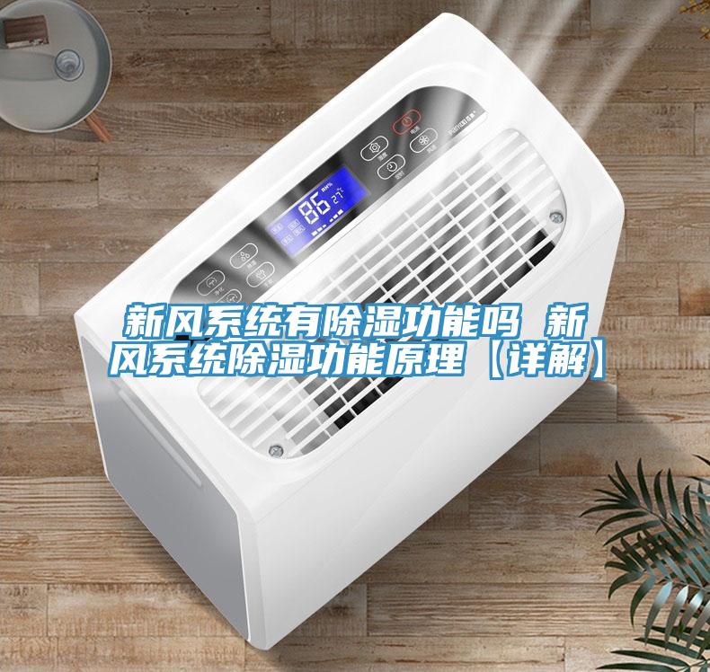 新风系统有除湿功能吗 新风系统除湿功能原理【详解】