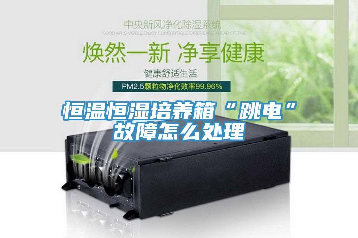 恒温恒湿培养箱“跳电”故障怎么处理