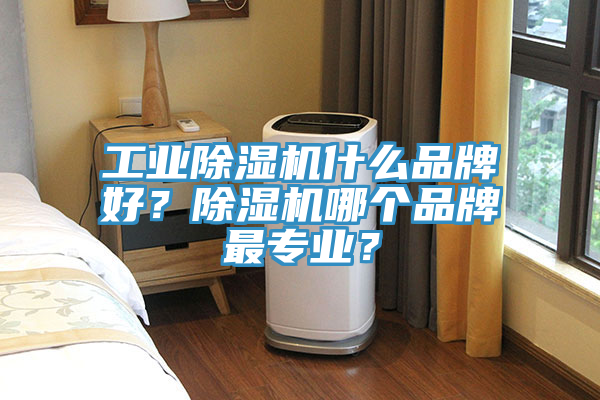工业除湿机什么品牌好？除湿机哪个品牌最专业？