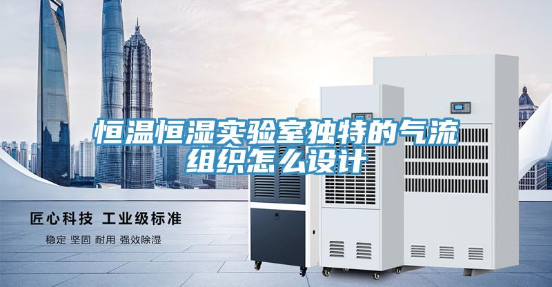 恒温恒湿实验室独特的气流组织怎么设计