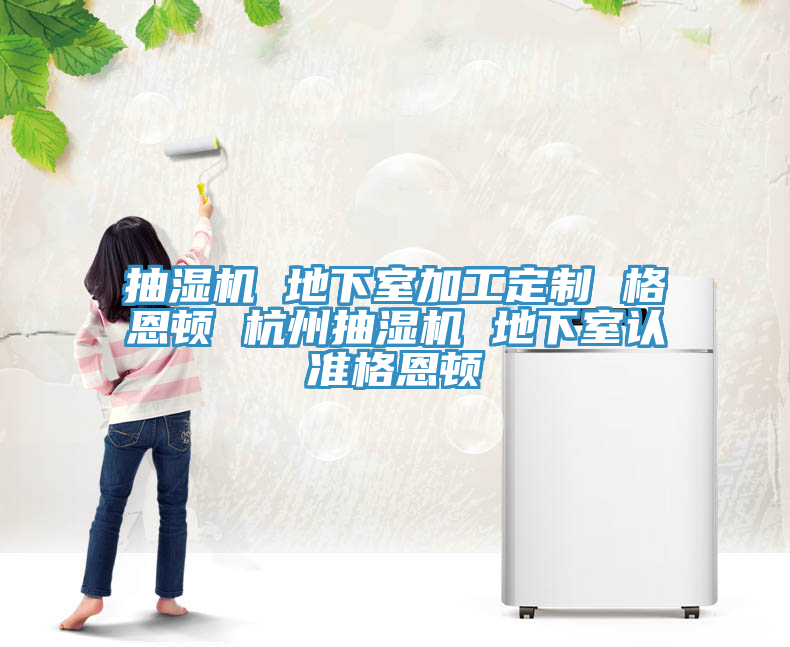 抽湿机 地下室加工定制 格恩顿 杭州抽湿机 地下室认准格恩顿