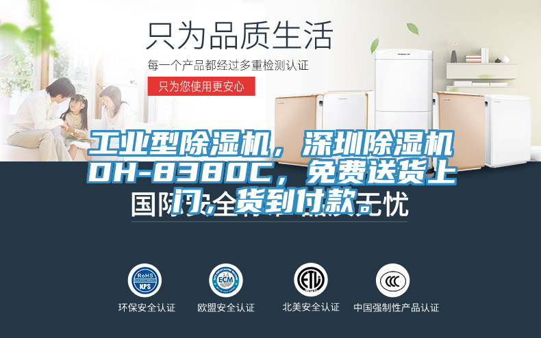 工业型除湿机，深圳除湿机DH-8380C，免费送货上门，货到付款。