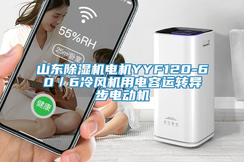 山东除湿机电机YYF120-60／6冷风机用电容运转异步电动机