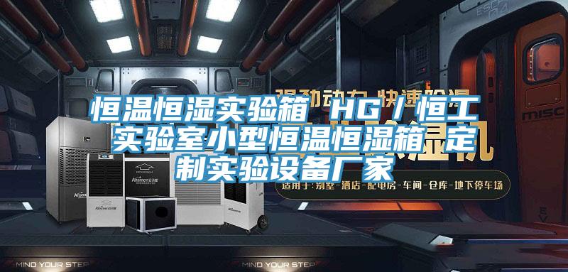 恒温恒湿实验箱 HG／恒工 实验室小型恒温恒湿箱 定制实验设备厂家
