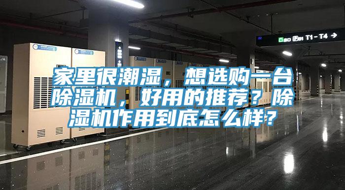 家里很潮湿，想选购一台除湿机，好用的推荐？除湿机作用到底怎么样？