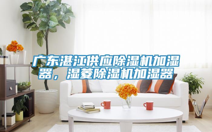 广东湛江供应除湿机加湿器，湿菱除湿机加湿器