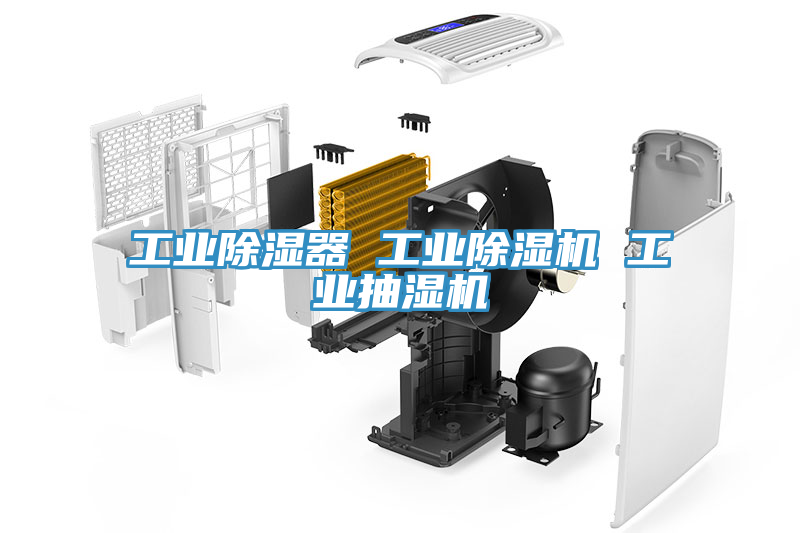 工业除湿器 工业除湿机 工业抽湿机
