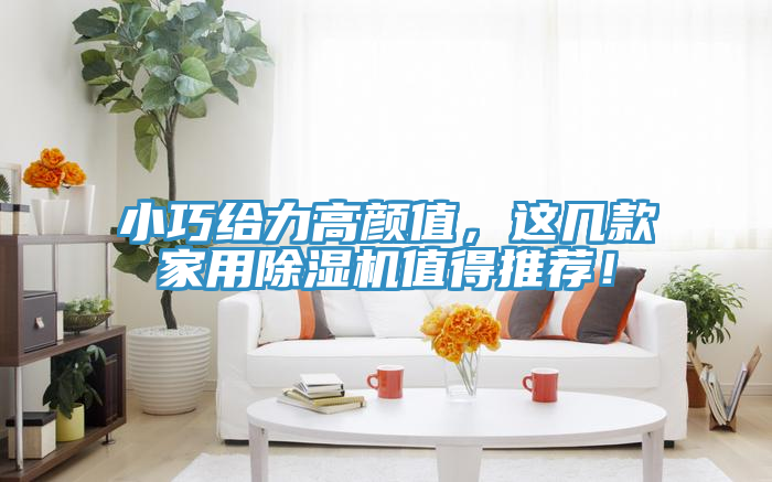 小巧给力高颜值，这几款家用除湿机值得推荐！
