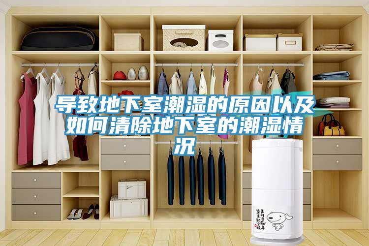 导致地下室潮湿的原因以及如何清除地下室的潮湿情况