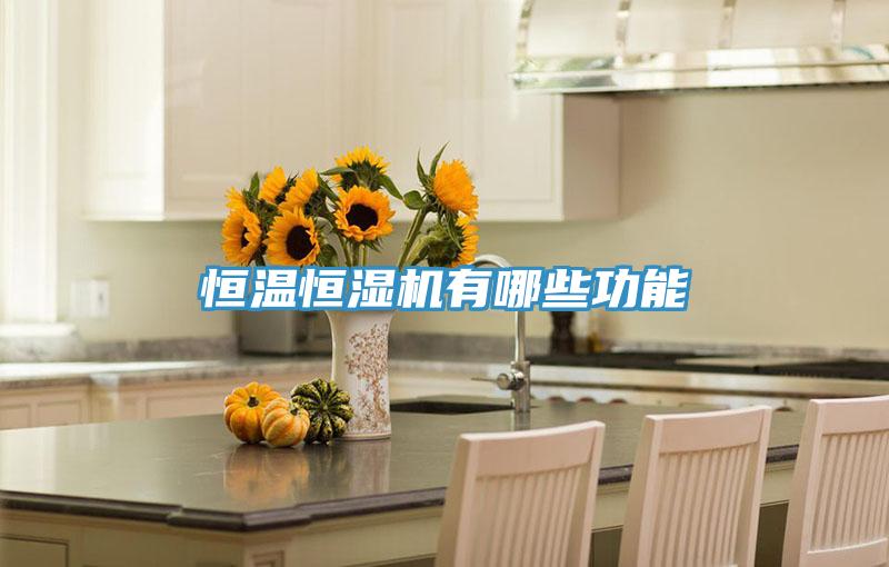 恒温恒湿机有哪些功能