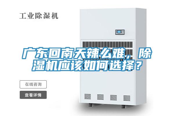广东回南天辣么难，除湿机应该如何选择？