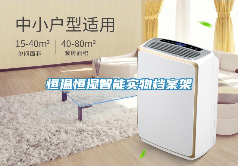 恒温恒湿智能实物档案架